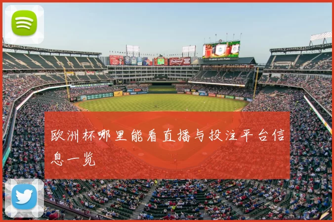 欧洲杯哪里能看直播与投注平台信息一览
