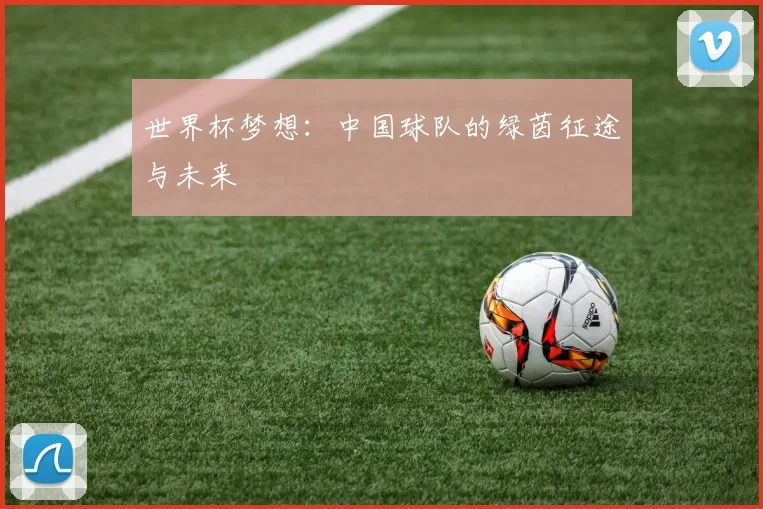 世界杯梦想：中国球队的绿茵征途与未来