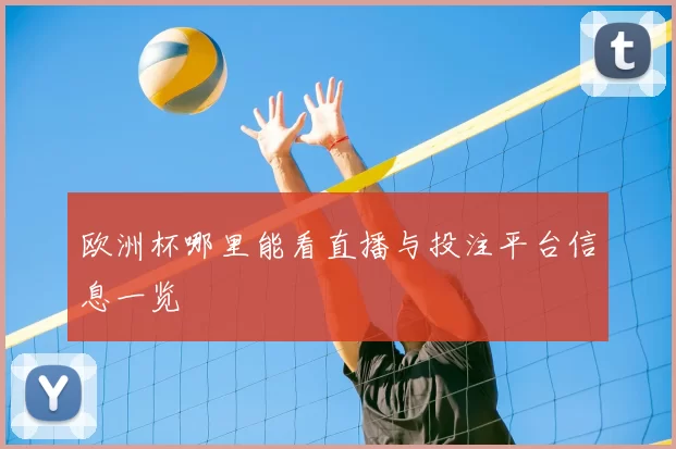 欧洲杯哪里能看直播与投注平台信息一览