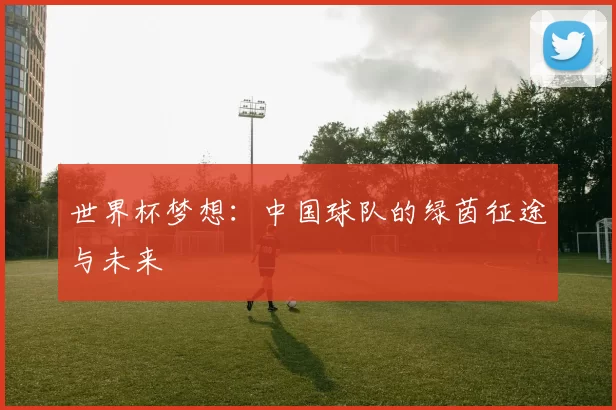 世界杯梦想：中国球队的绿茵征途与未来