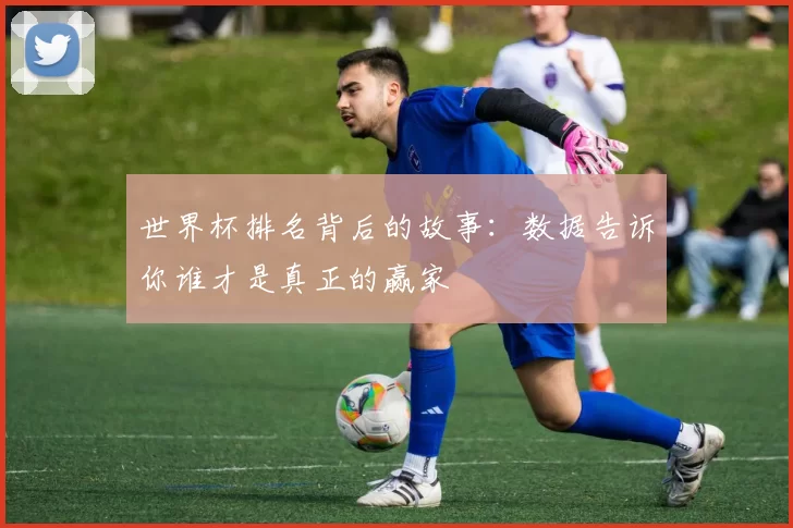 世界杯排名背后的故事：数据告诉你谁才是真正的赢家