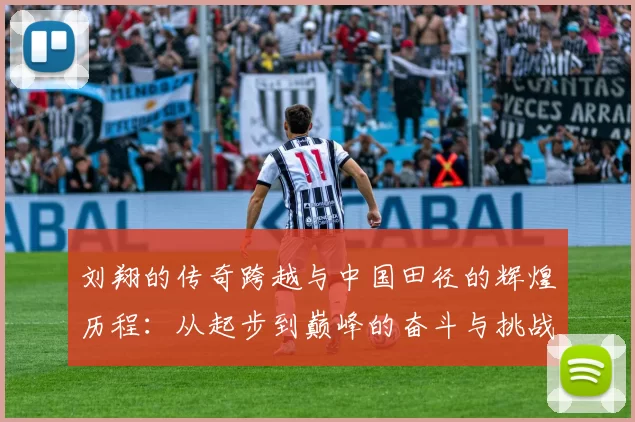 刘翔的传奇跨越与中国田径的辉煌历程:从起步到巅峰的奋斗与挑战