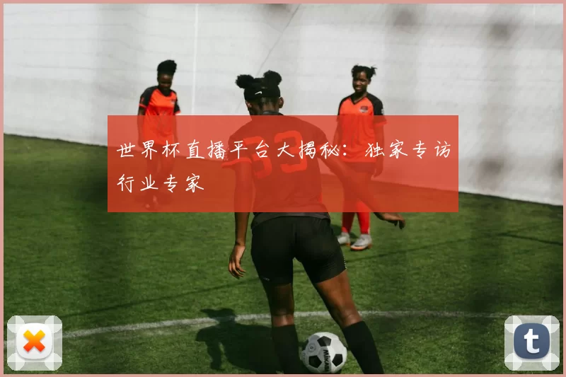 世界杯直播平台大揭秘:独家专访行业专家