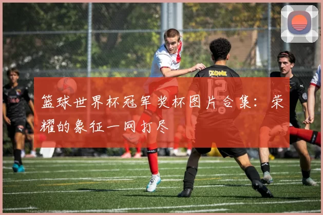 篮球世界杯冠军奖杯图片合集：荣耀的象征一网打尽