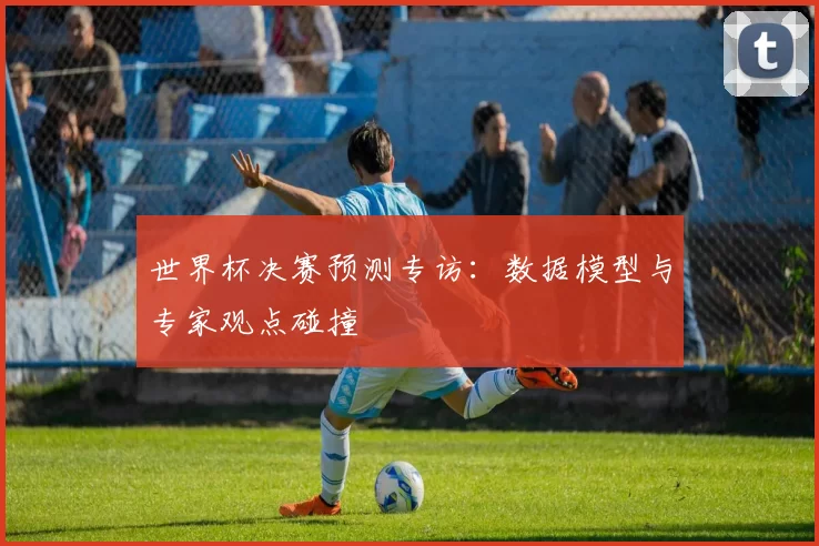 世界杯决赛预测专访：数据模型与专家观点碰撞