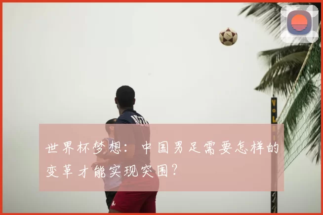 世界杯梦想：中国男足需要怎样的变革才能实现突围？