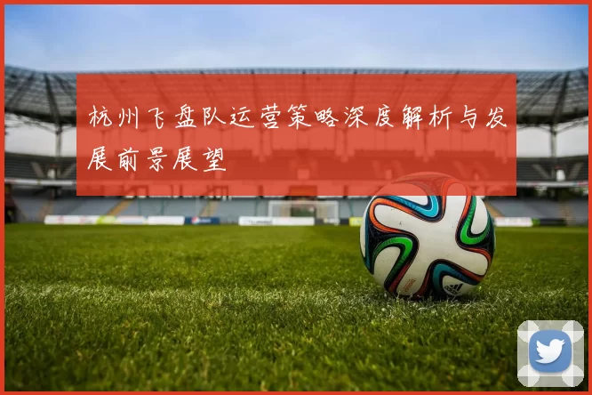 杭州飞盘队运营策略深度解析与发展前景展望