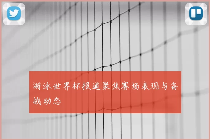 游泳世界杯报道聚焦赛场表现与备战动态