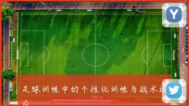足球训练中的个性化训练与战术适应