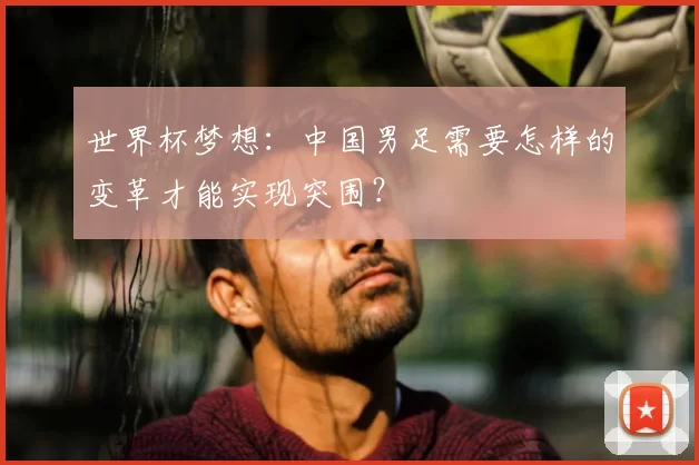 世界杯梦想:中国男足需要怎样的变革才能实现突围?