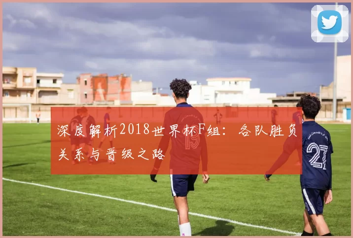 深度解析2018世界杯F组:各队胜负关系与晋级之路