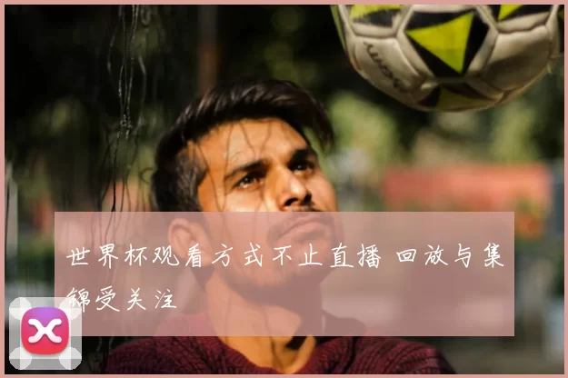 世界杯观看方式不止直播 回放与集锦受关注