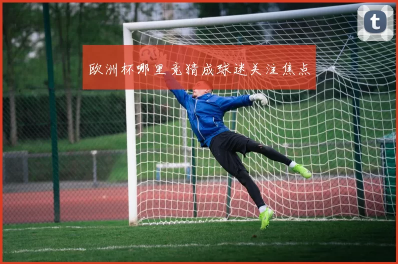 欧洲杯哪里竞猜成球迷关注焦点