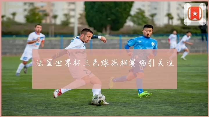 法国世界杯三色球亮相赛场引关注