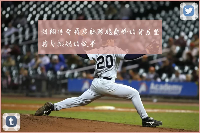 刘翔传奇再启航跨越巅峰的背后坚持与挑战的故事