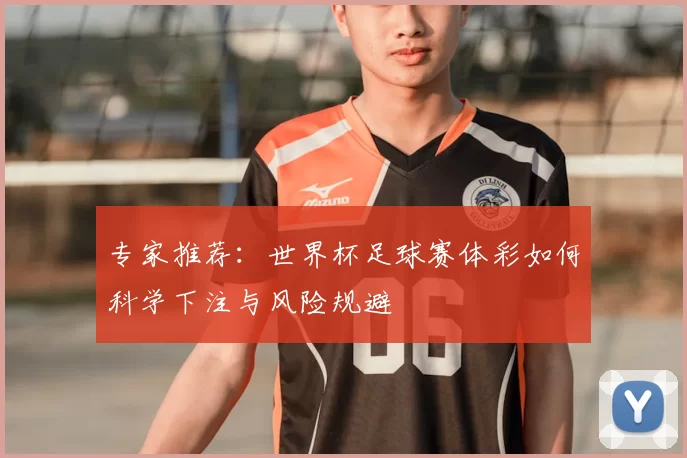 专家推荐:世界杯足球赛体彩如何科学下注与风险规避