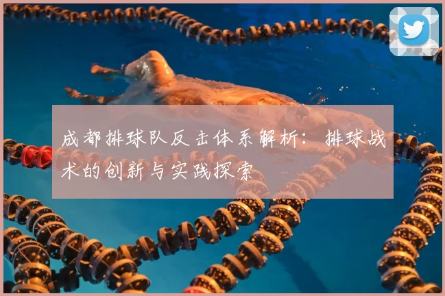 成都排球队反击体系解析:排球战术的创新与实践探索