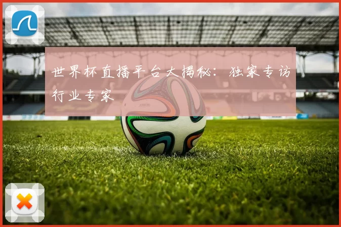 世界杯直播平台大揭秘:独家专访行业专家